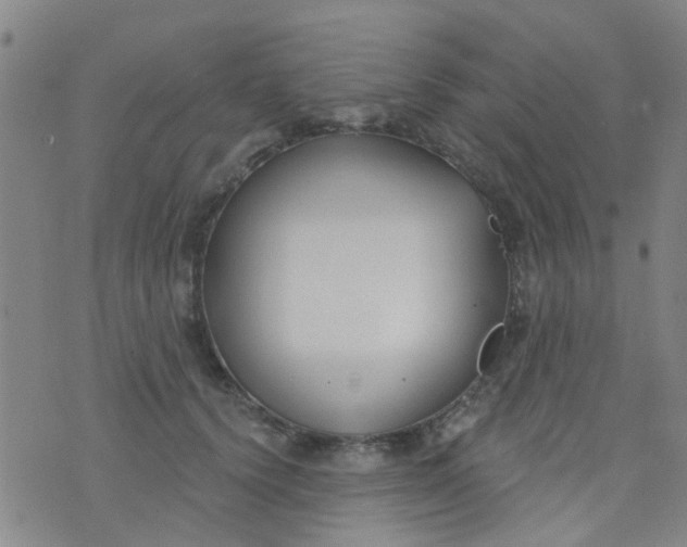 X0000076400656200610202131