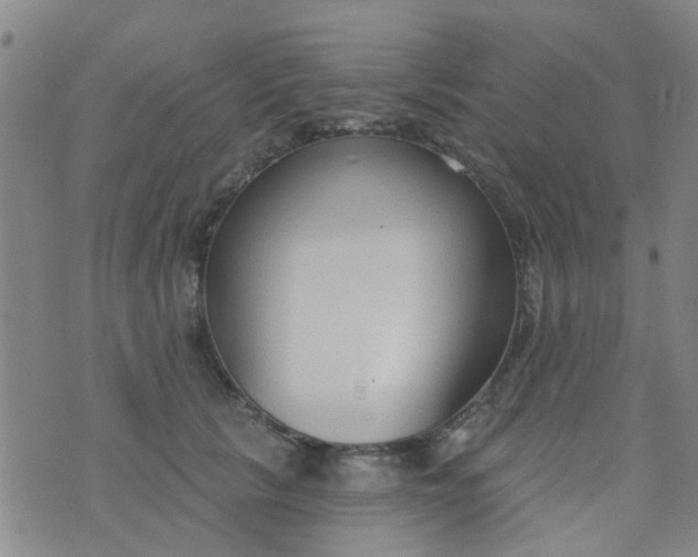 X0000076400657200610202131