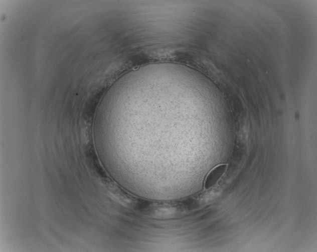 X0000076400658200610202131