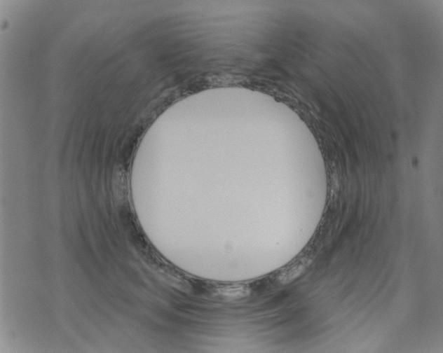 X0000076400659200610202131