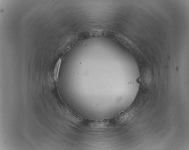 X0000076400661200610202131