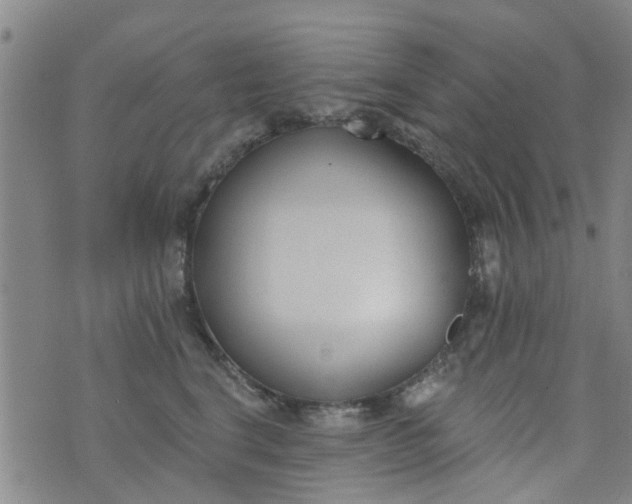 X0000076400664200610202131