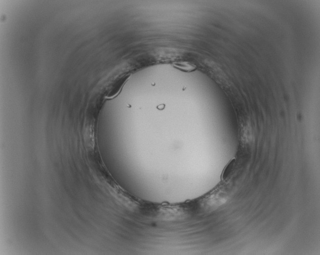 X0000076400666200610202131