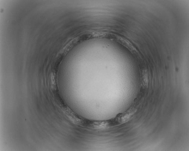 X0000076400667200610202131