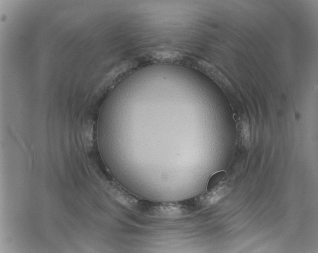 X0000076400668200610202131