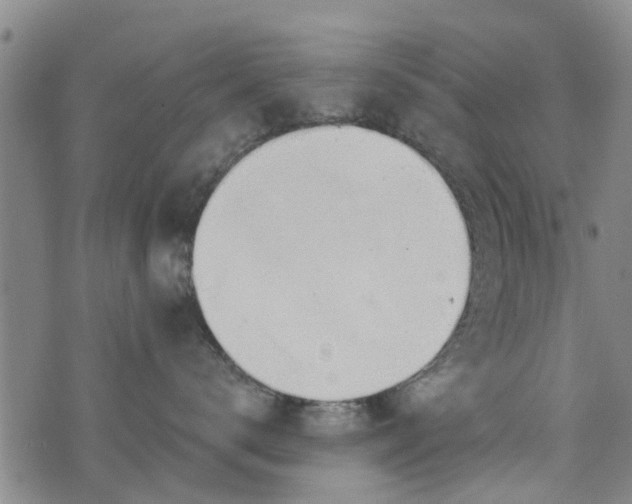 X0000076400672200610202131