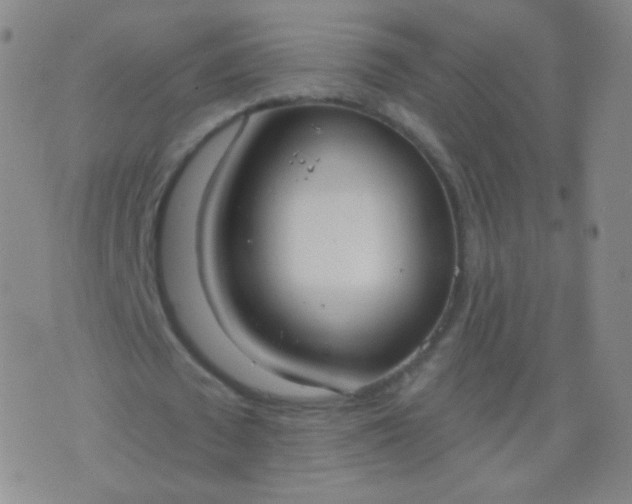 X0000076400673200610202131