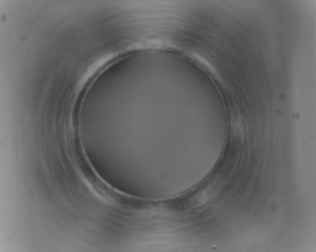 X0000076400674200610202131