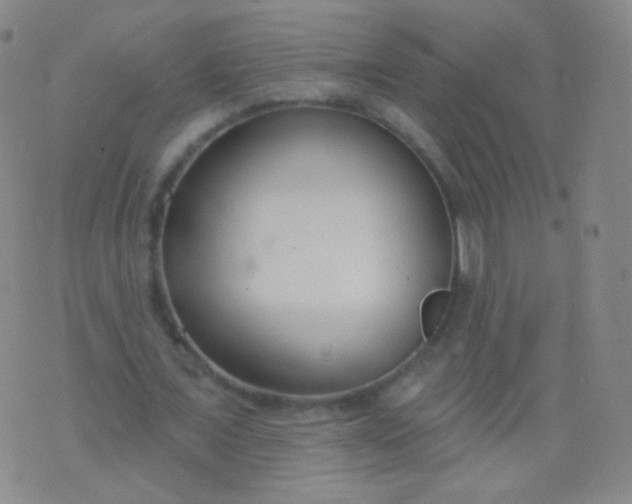 X0000076400675200610202131