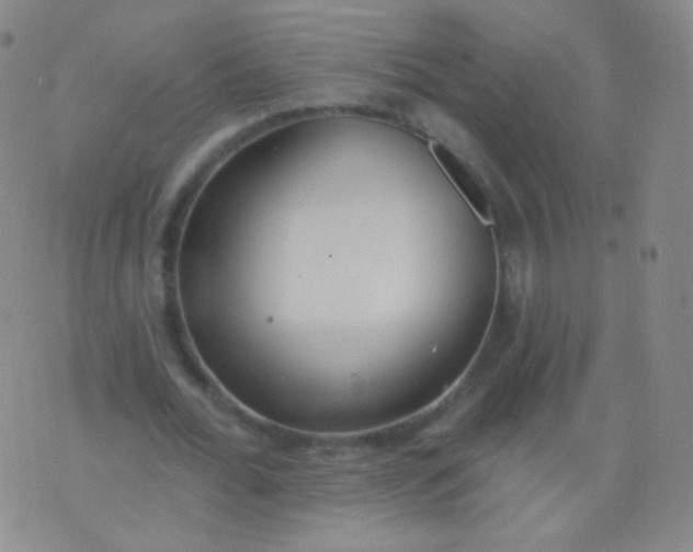 X0000076400676200610202131