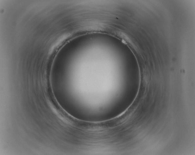 X0000076400677200610202131