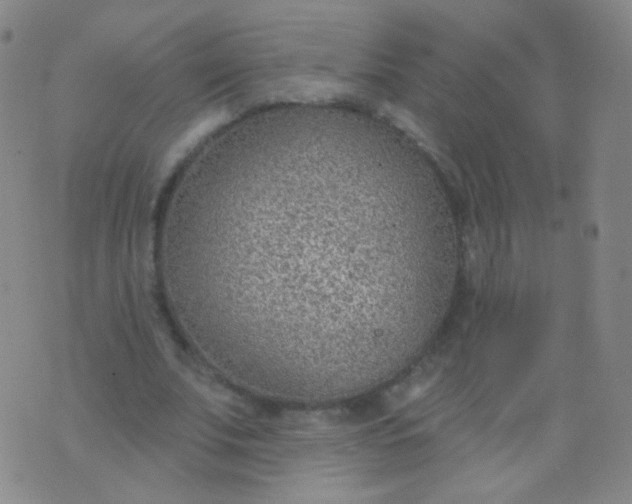 X0000076400679200610202130