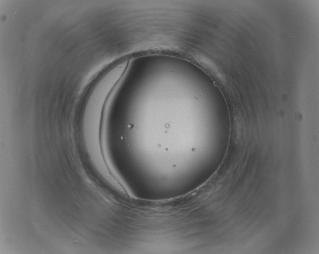 X0000076400680200610202130