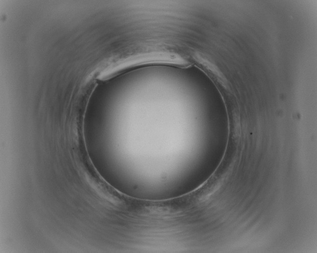 X0000076400681200610202130