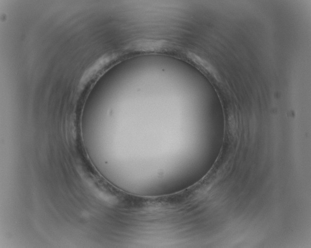 X0000076400682200610202130