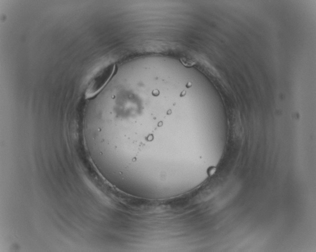 X0000076400683200610202130