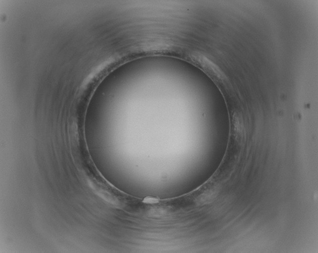 X0000076400684200610202130