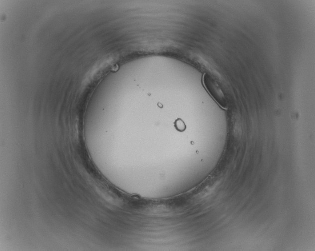 X0000076400685200610202130