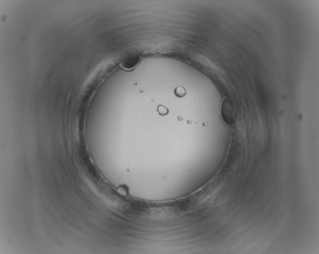 X0000076400686200610202130