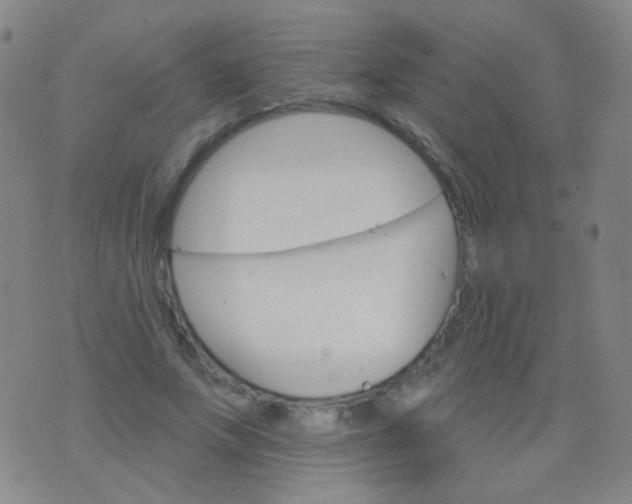 X0000076400687200610202130