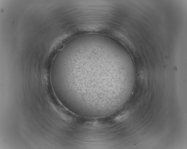 X0000076400688200610202130