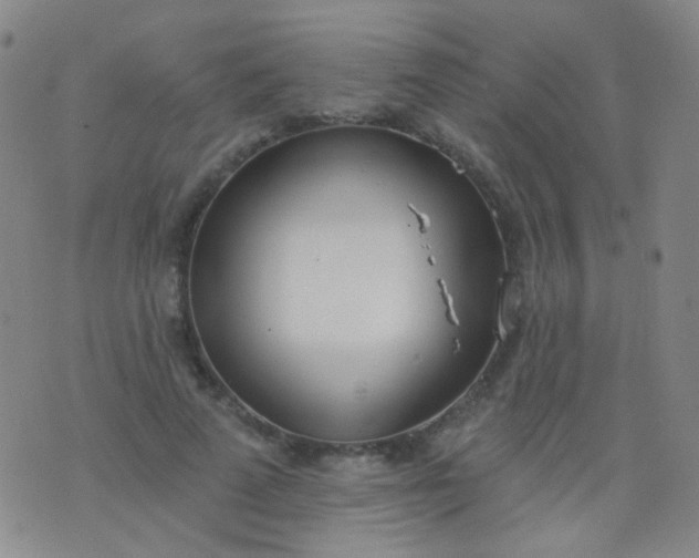 X0000076400689200610202130