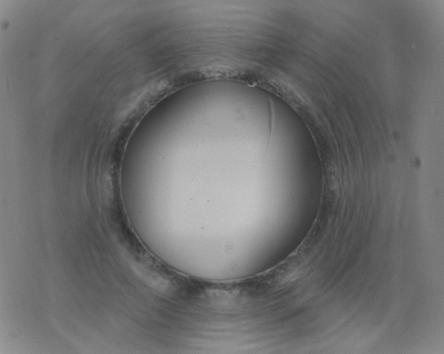 X0000076400690200610202130