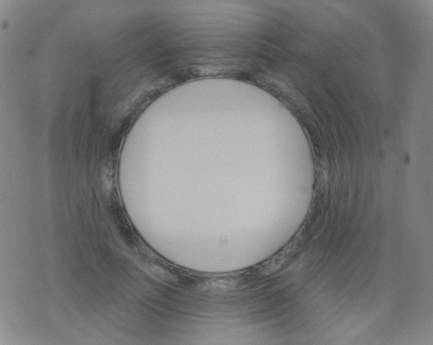 X0000076400691200610202130