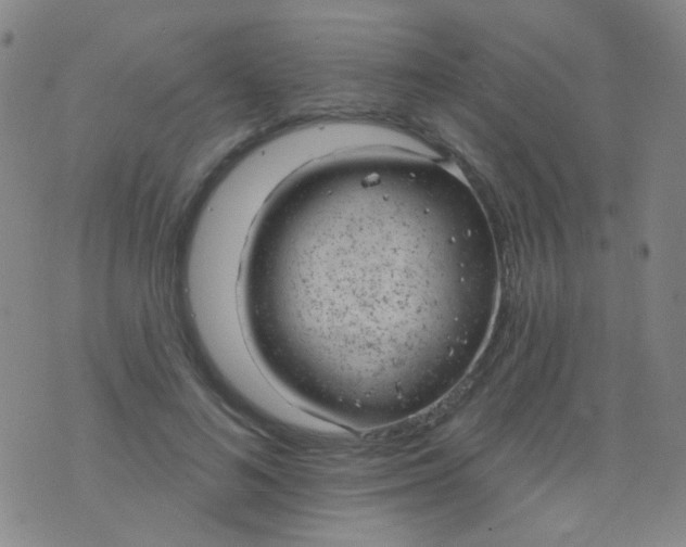 X0000076400692200610202130