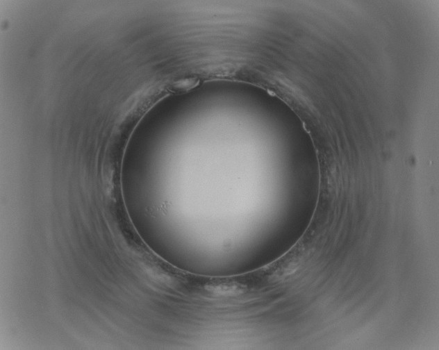 X0000076400693200610202130