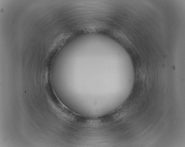 X0000076400694200610202130