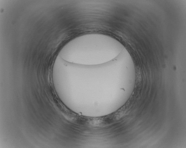 X0000076400695200610202130