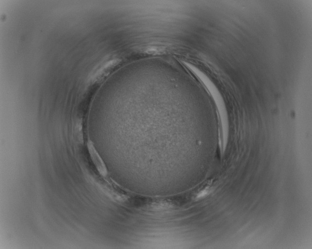 X0000076400696200610202130