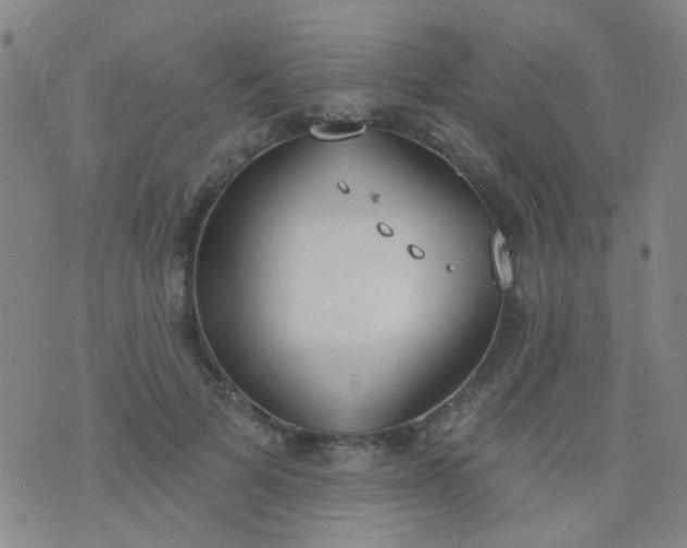 X0000076400697200610202130