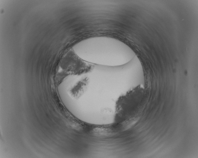 X0000076400699200610202130