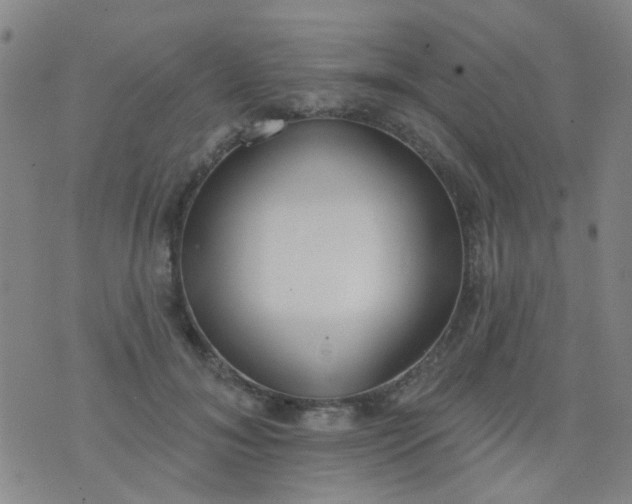 X0000076400700200610202130