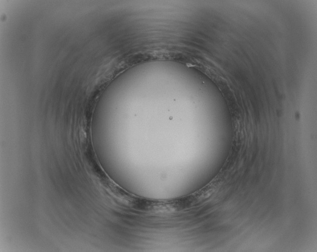 X0000076400702200610202130