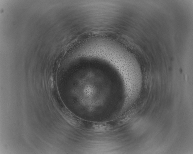 X0000076400703200610202130