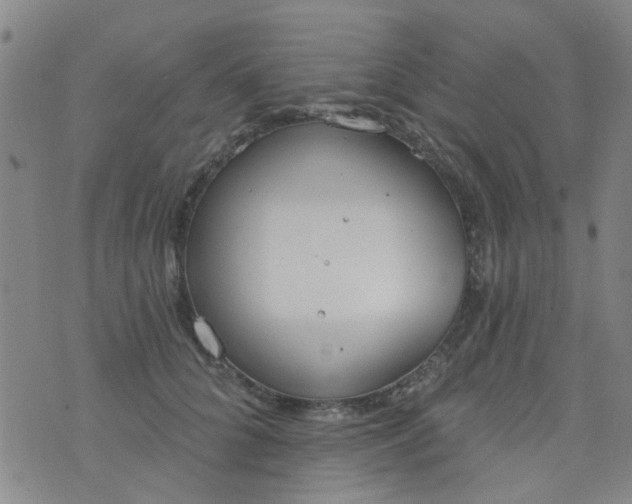 X0000076400704200610202130