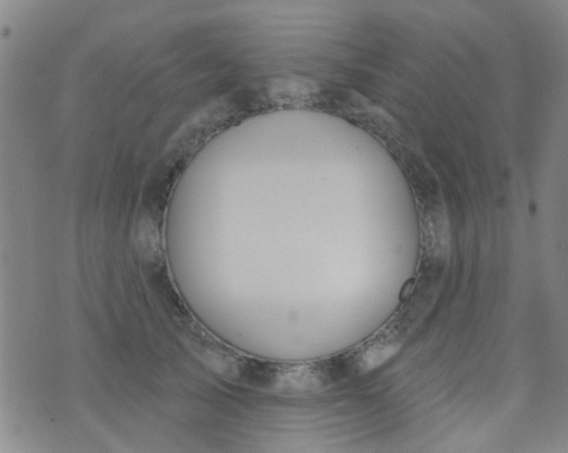 X0000076400705200610202130