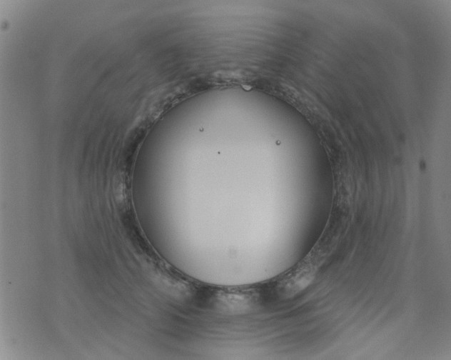 X0000076400706200610202130