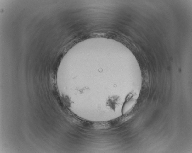 X0000076400707200610202130