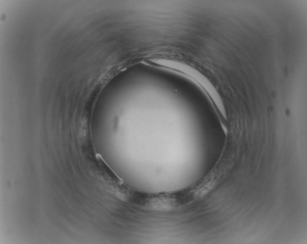 X0000076400708200610202130