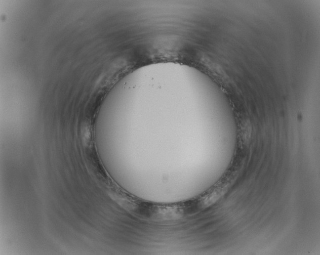 X0000076400709200610202130