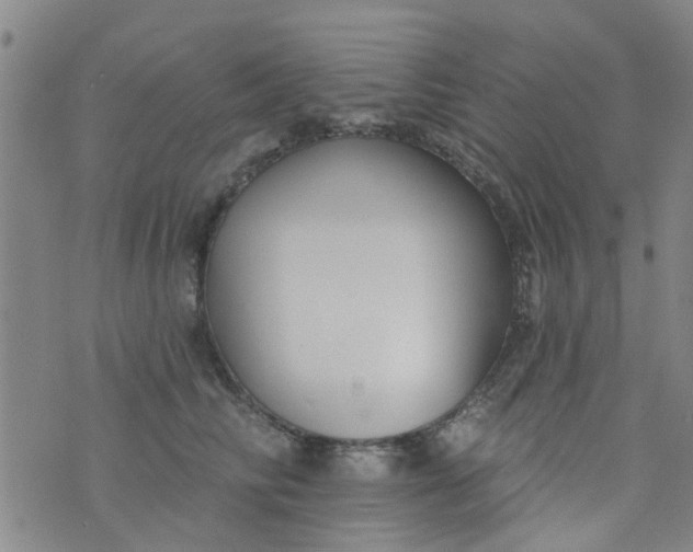 X0000076400710200610202130