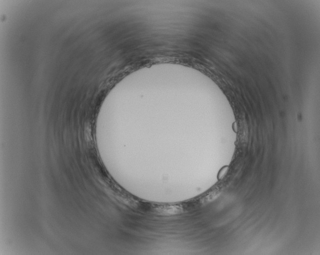 X0000076400711200610202130