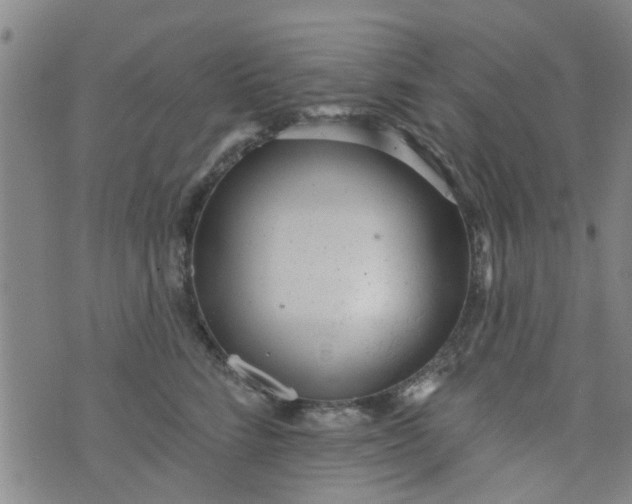 X0000076400712200610202130