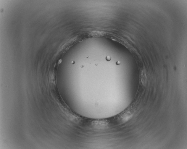 X0000076400714200610202130