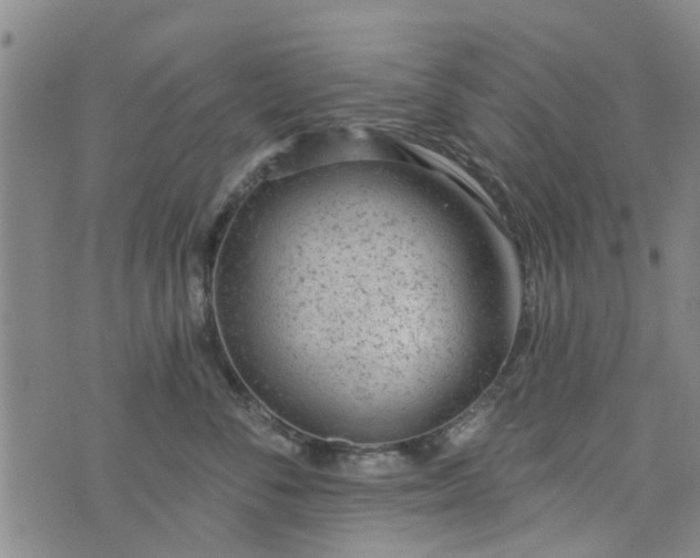 X0000076400716200610202130