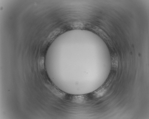 X0000076400717200610202130